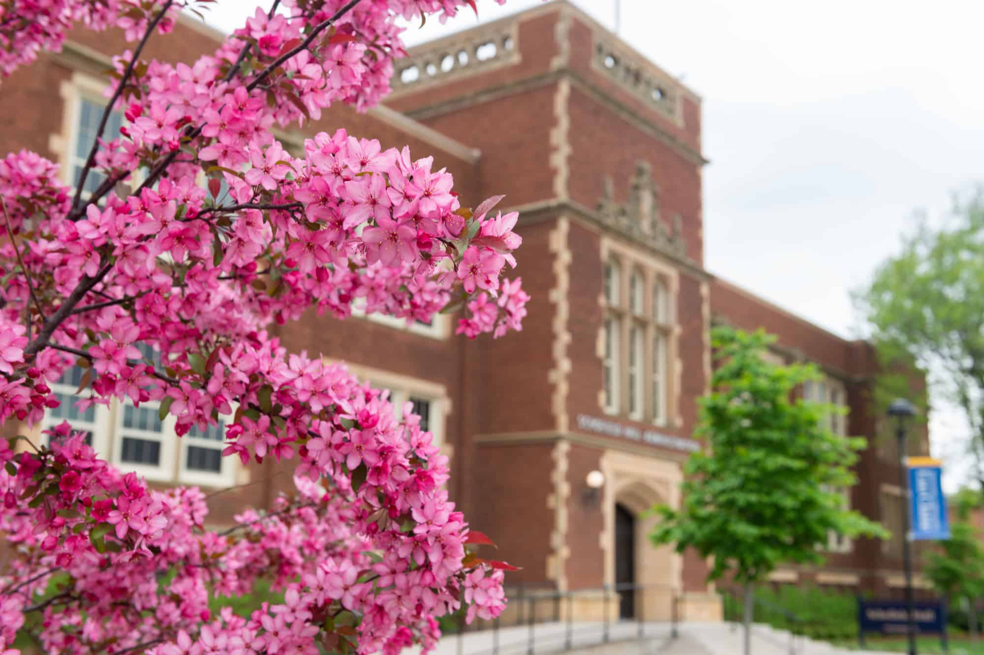 Uwec makes the princeton review best colleges list the business news