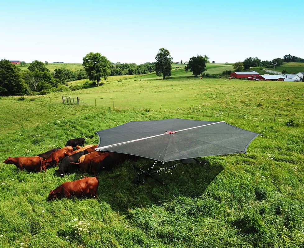 Image showcasing Comfortable grazing - anytime, anywhere with Shade Haven - The Business ...