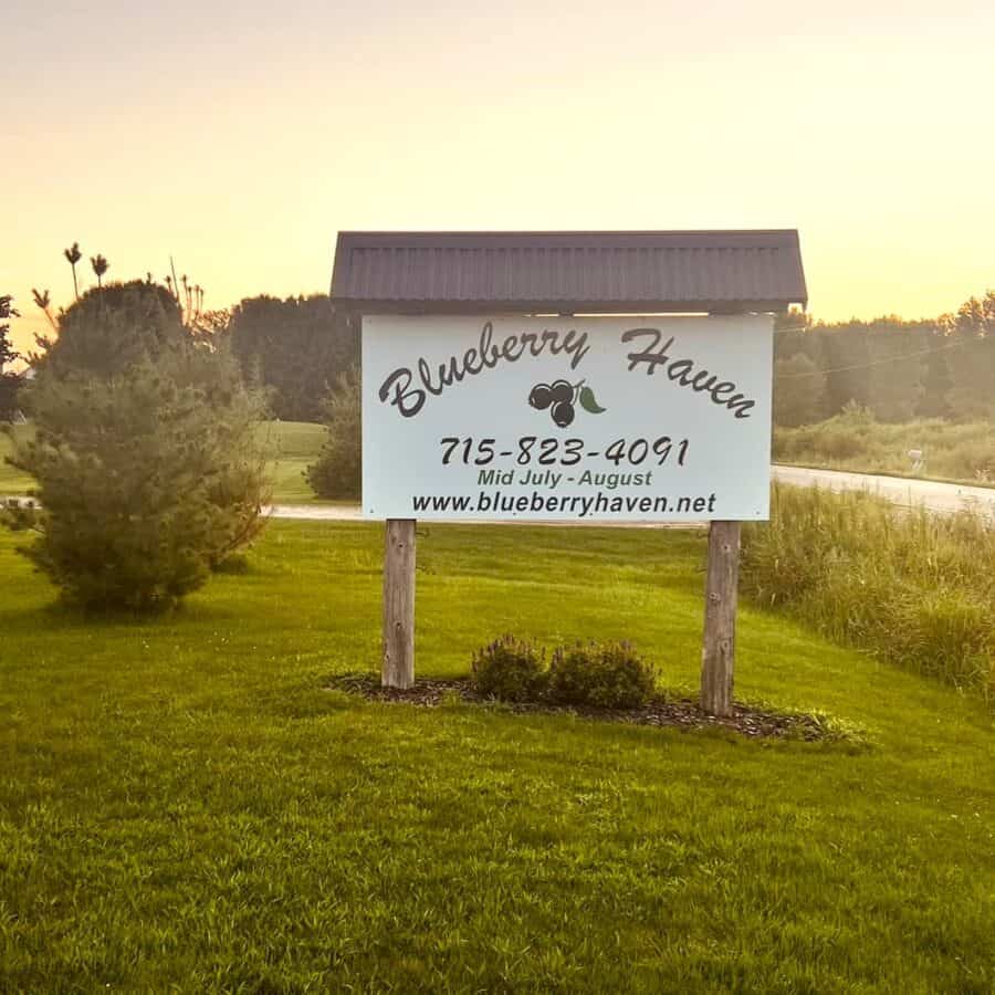 Sign for a berry farm in the grass.