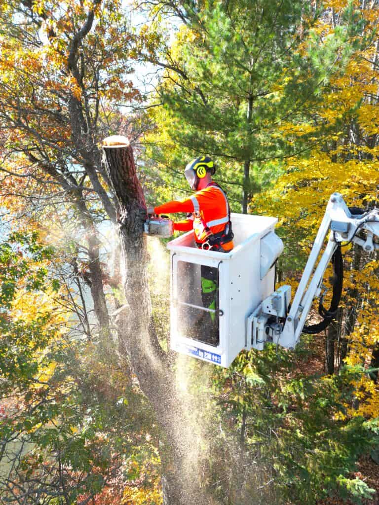 A truck is loading a large piece of wood.