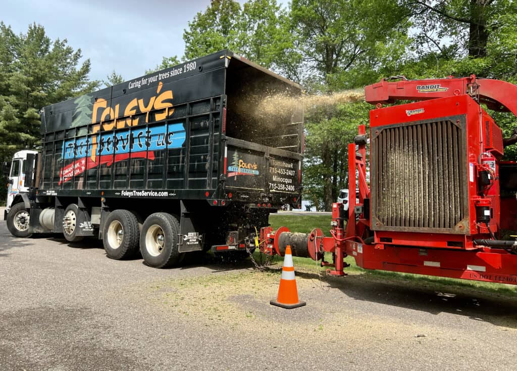 A truck is loading a large piece of wood.